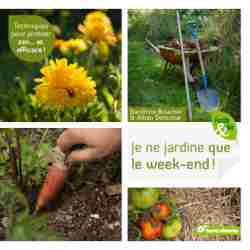 Je ne jardine que le week-end ! - Sandrine Boucher et Alban Delacour