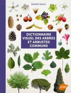 Dictionnaire visuel des arbres et des arbustes communs