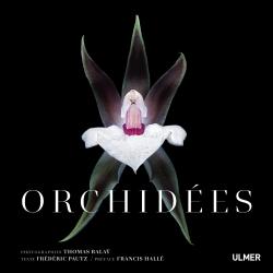 Orchidées - Thomas BALAY-Frédéric PAUTZ