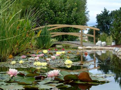 Watery Gardens