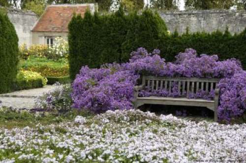 Jardins du Nouveau Monde