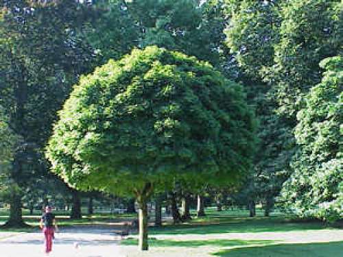 Parques de Allier