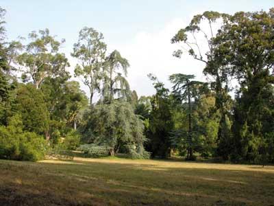 Jardin Botanique de la Villa Thuret photo 1