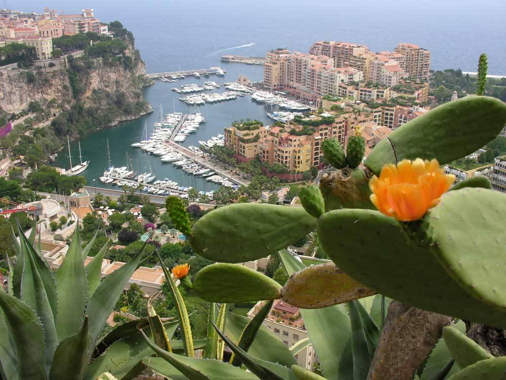 Der Exotische Garten Von Monaco In Provence Alpes Cote D Azur