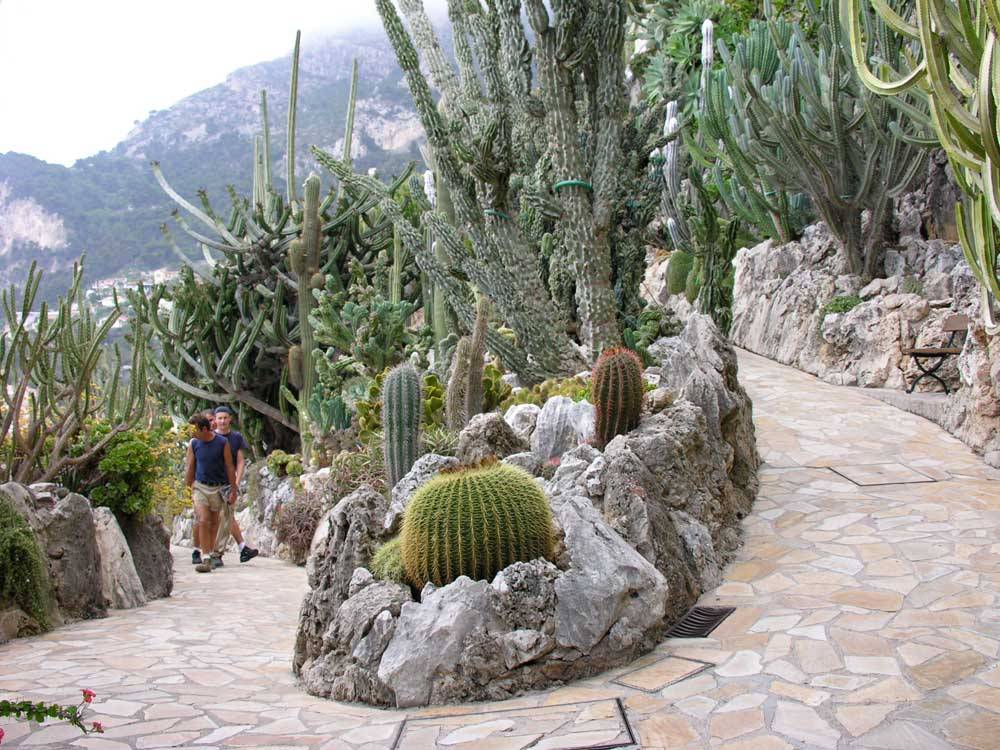 Der exotische Garten von Monaco photo 5