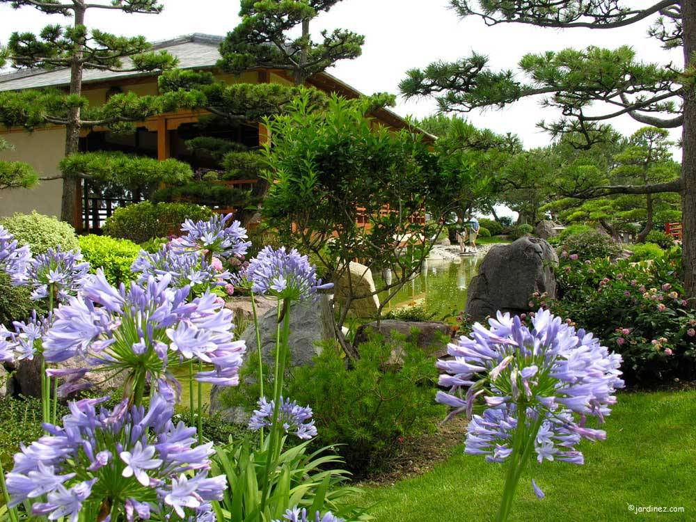 El Jardín Japonés de Monaco photo 1