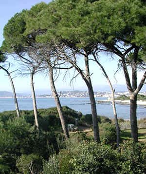 Île Sainte-Marguerite photo 0