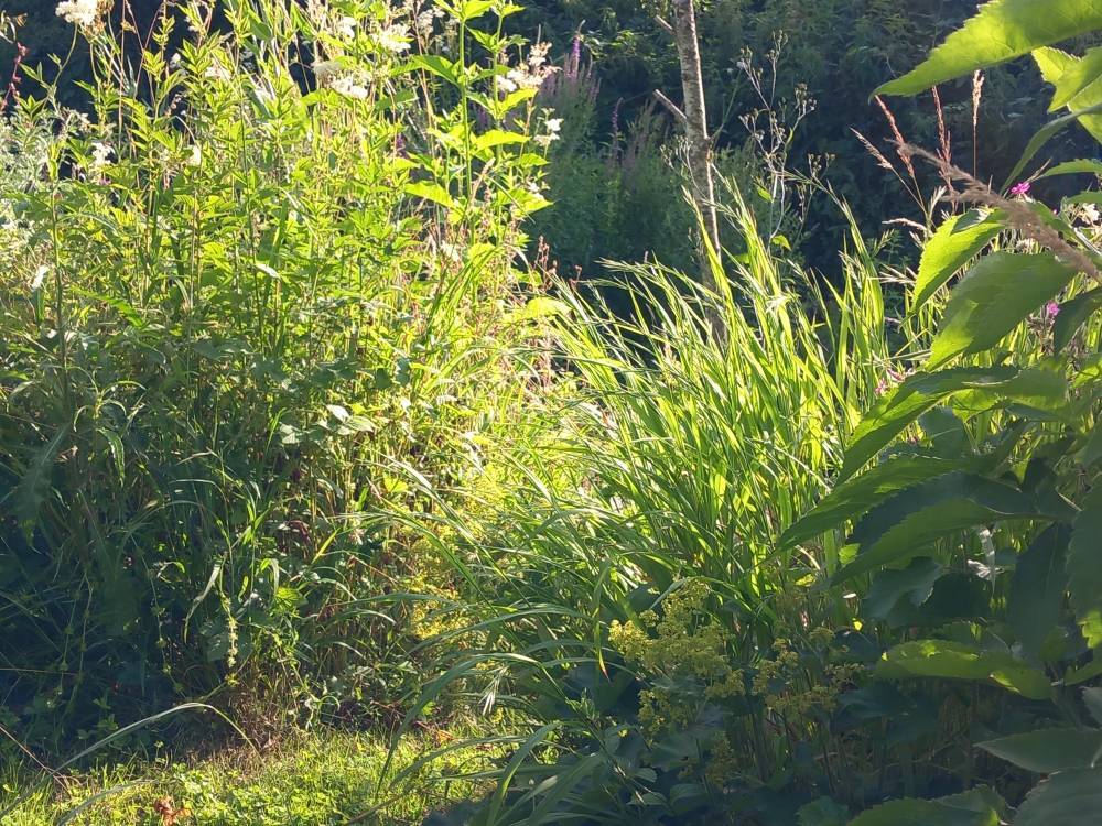 Jardin Le Carreau