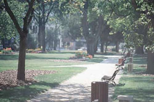 Clocktower Garden