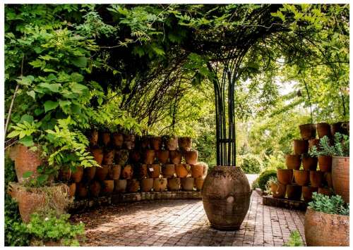 Jardin Botanique de Marnay sur Seine