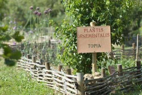 Parc d'Amphoralis