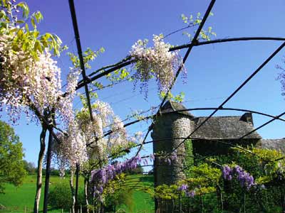 Colombier Castle's Medieval Paradise Garden photo 5