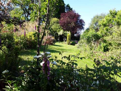 Le Jardin des Plantes Le Mourot