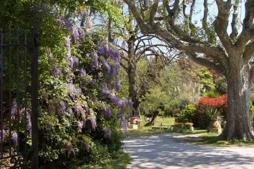 Jardin du Mas Ferrand