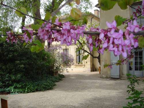 Jardin du Musée Frédéric Mistral