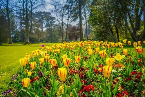 Jardin Public de Bayeux