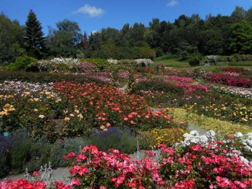 Parc Floral de la Colline aux Oiseaux