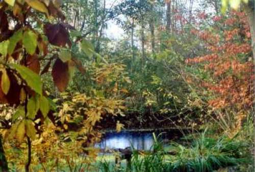 Arboretum du Chêne Vert