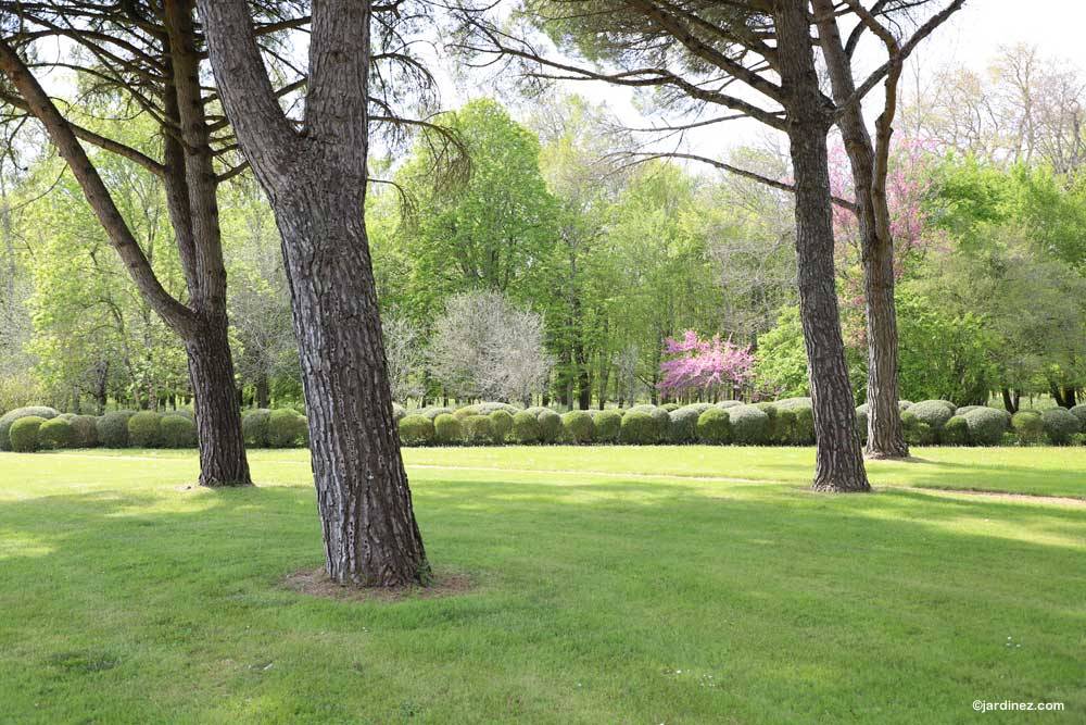 Park und Gärten des Château de Beaulon photo 4