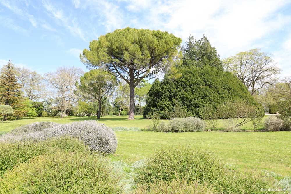Château de Beaulon的公园和花园 photo 5