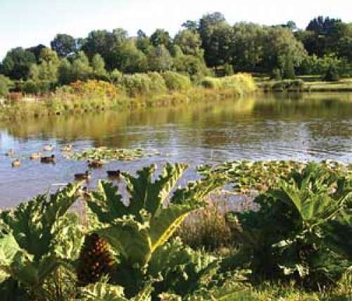 Arboretum de Chamberet