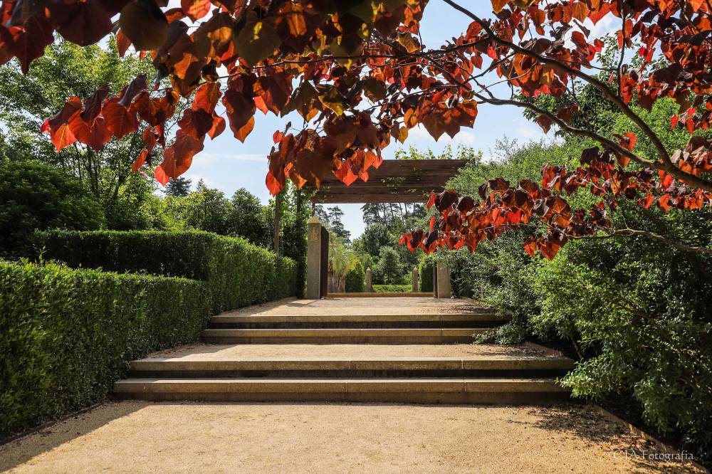 Discover the automnal gardens with a gardener, Les Jardins Sothys, Auriac (19) - France