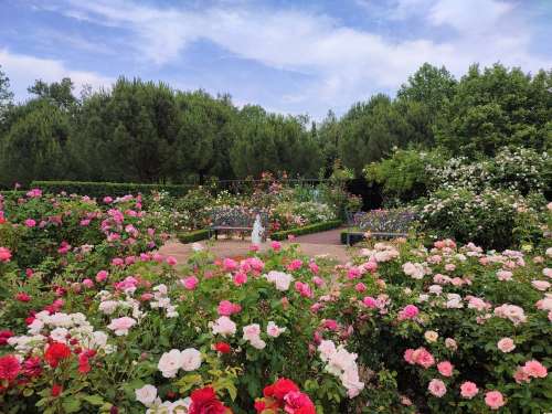 Les Jardins de Colette