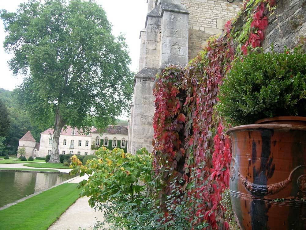 Jardines de la Abadía de Fontenay photo 2