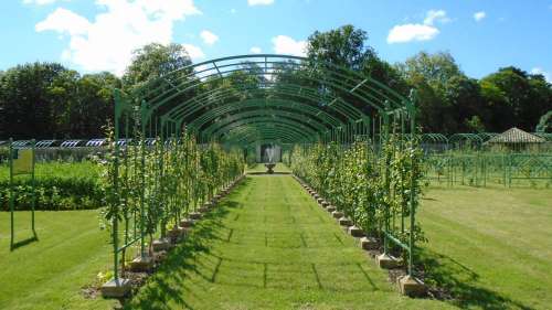 Park, Gardens and Kitchen-Gardens of Montigny Castle