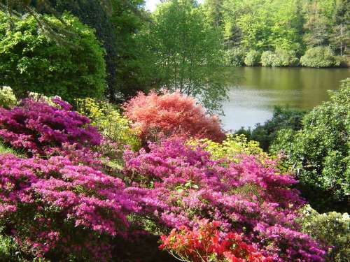 Parc et Jardins du Château du Colombier