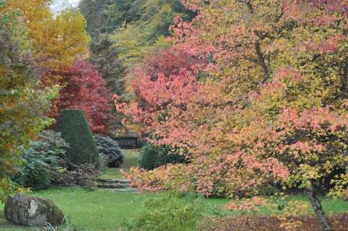 Arboretum de La Sédelle