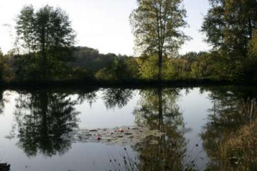 Arboretum des Pouyouleix