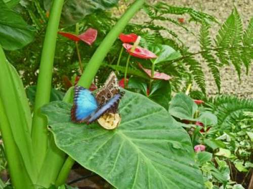 Jardin des Découvertes