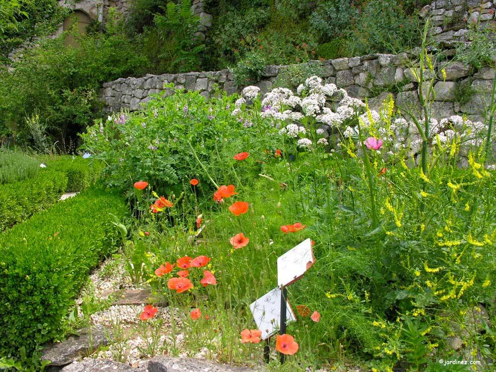 Garden Of Herbs photo 5
