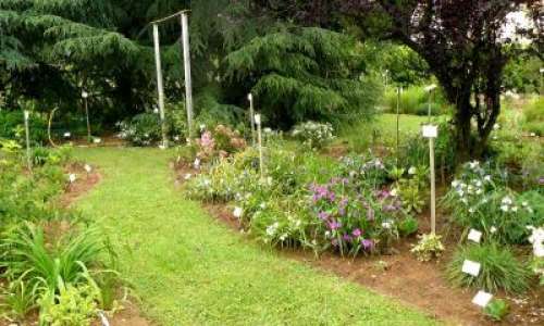 Un Jardin Dans Les Bois