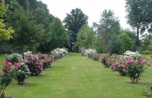 Jardins et Roseraie du Château de Miserey