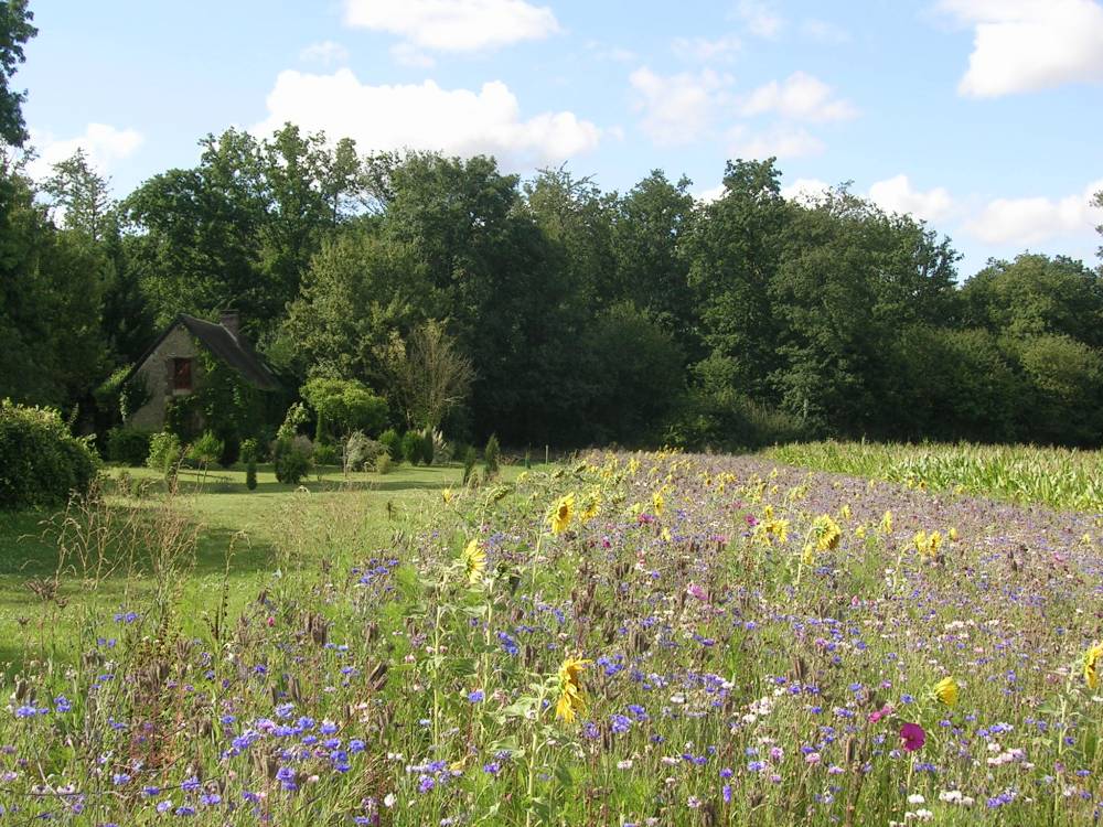 Parc du Manoir des Prévanches