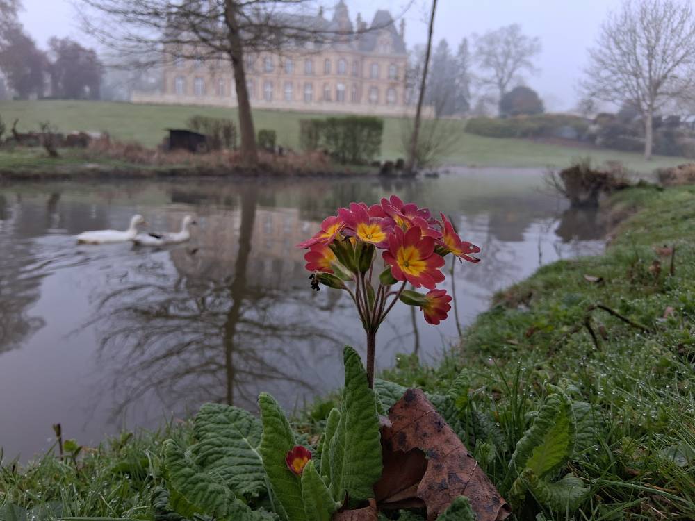 Parc du Château des Boulard