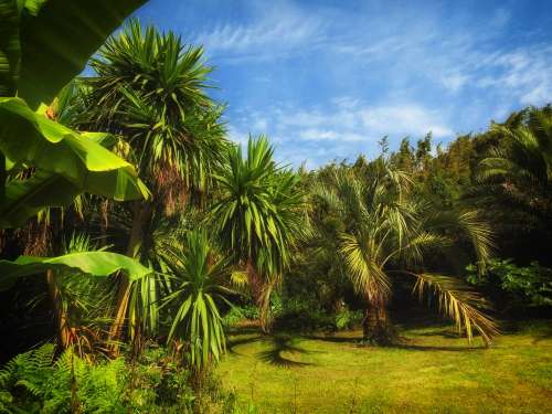 The Exotic Garden of Saint-Renan