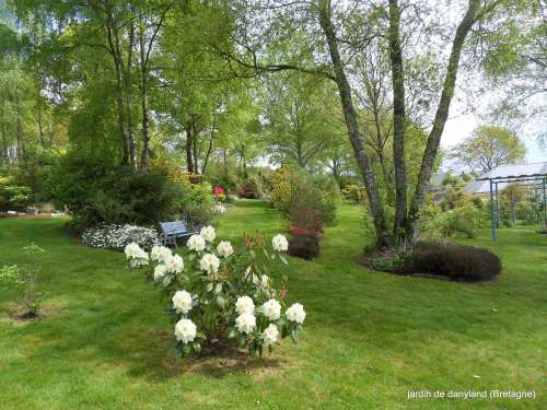 les roses du jardin de danyland  - Plougonven