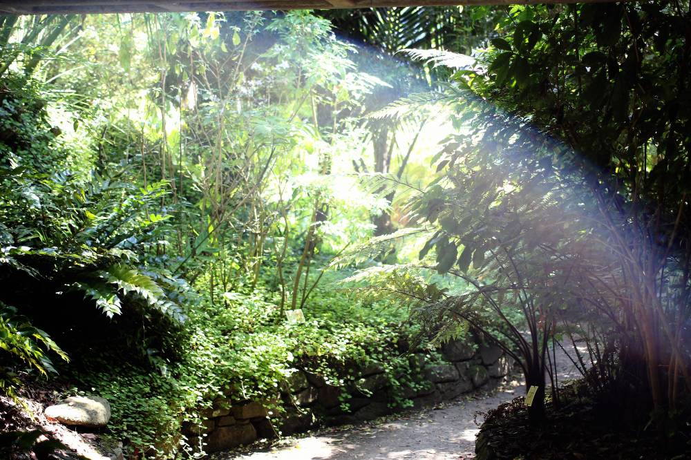 Jardín Exótico y Botánico de Roscoff photo 9