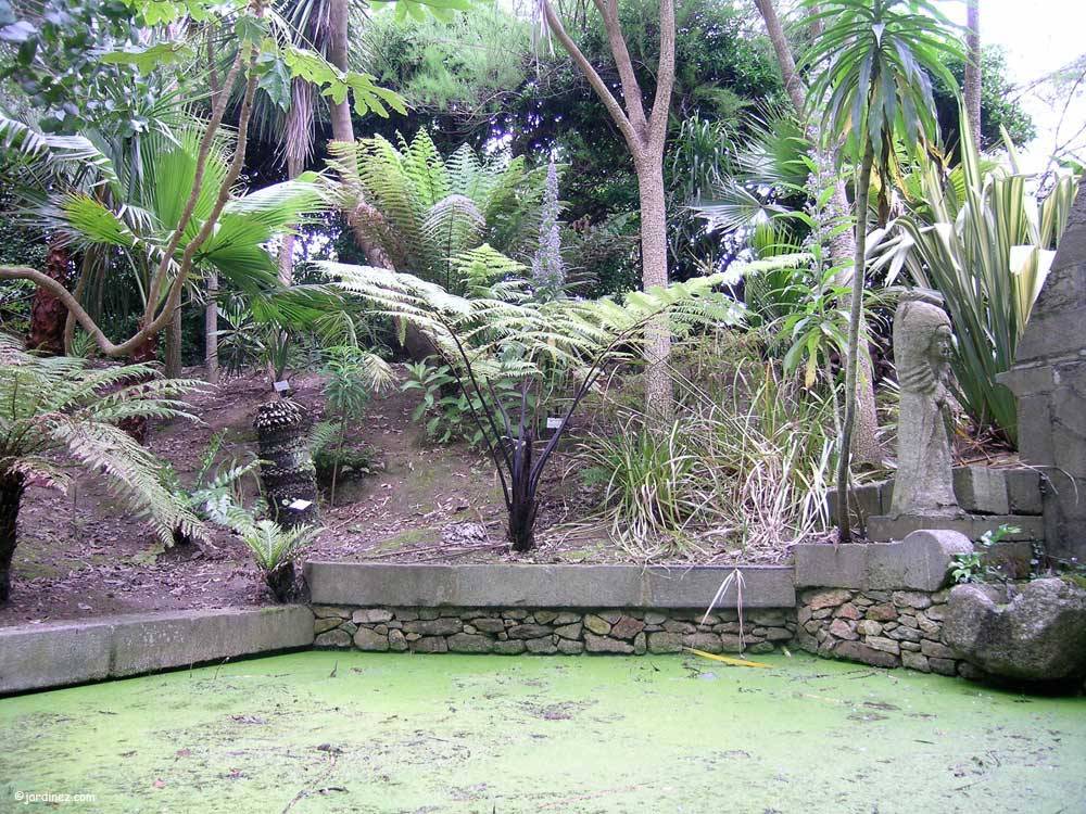 Jardin Exotique et Botanique de Roscoff photo 12