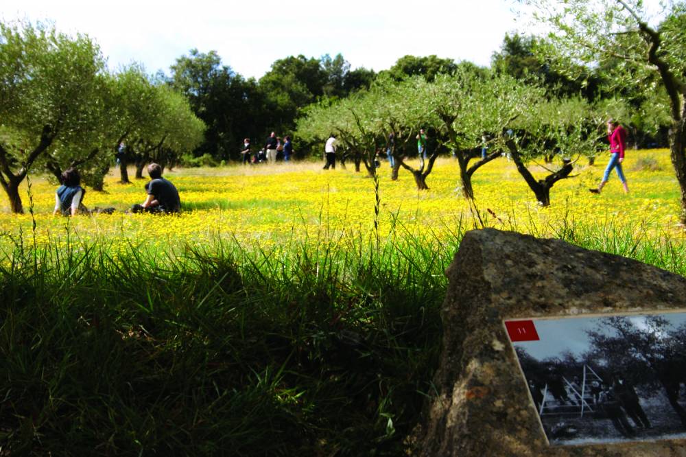 Jardins Mémoires de Garrigue