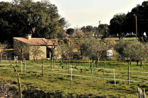 Los Jardines Etnobotánicos de La Gardie