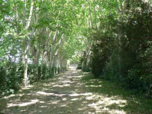 Parc du Château de Teillan