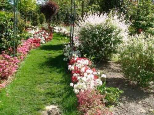 Parc Floral les Caméllias de la Prairie