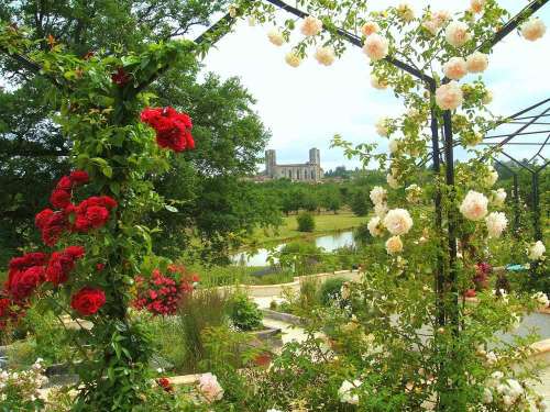 Les Jardins de Coursiana