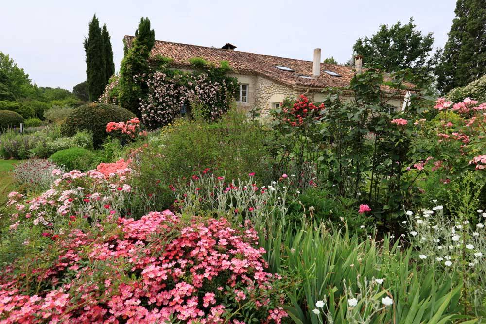 Jardin De Coursiana