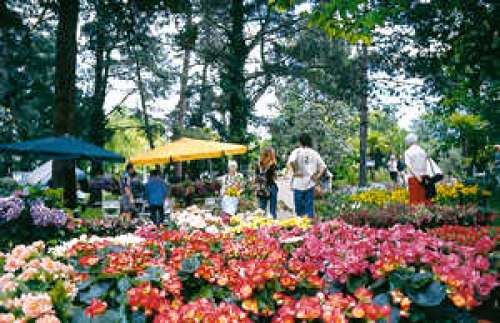 Parc Mauresque