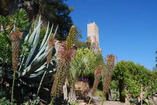 Jardin Méditerranéen